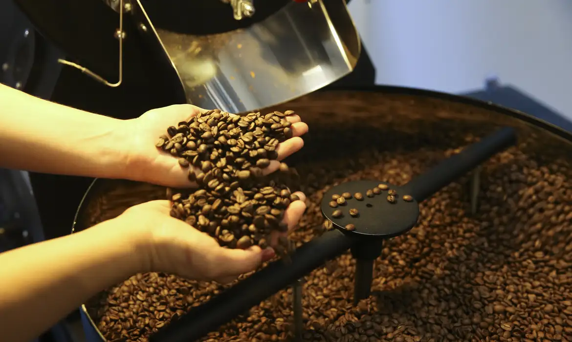 Grãos de café