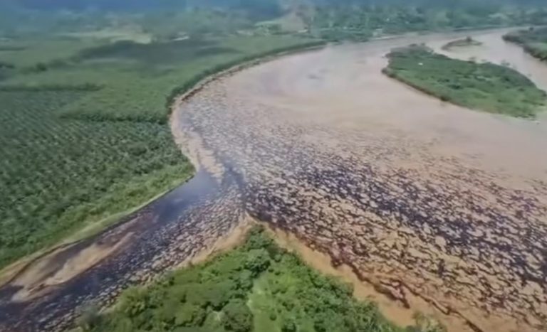 Vazamento de petróleo no Equador já atinge 15 mil e ainda não se sabe tamanho de desastre