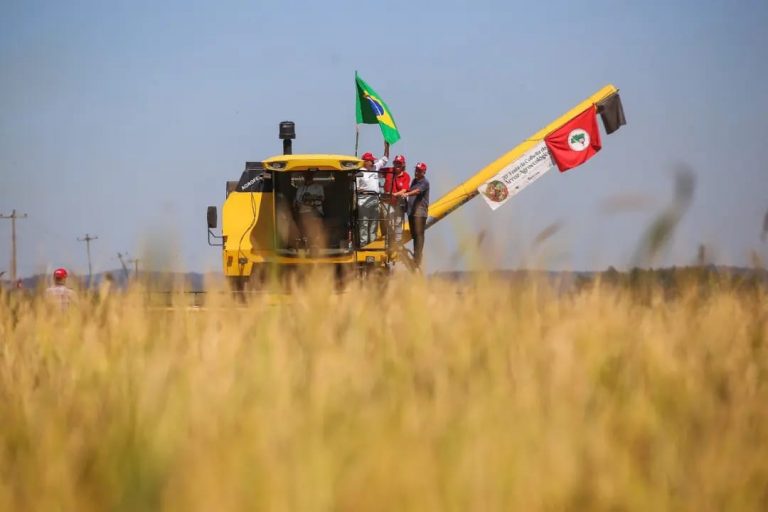 MST realiza tradicional Festa da Colheita do Arroz Agroecológico no RS depois de um ano sem a celebração 