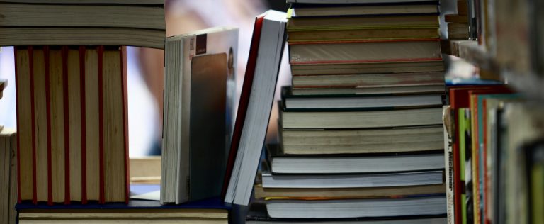 Feira Literária na Restinga descentraliza acesso à leitura em bairro periférico de Porto Alegre
