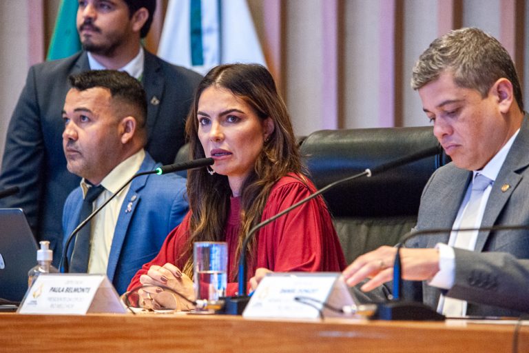 Rio Melchior: presidenta da CPI diz que participa como 'aprendiz' e quer comissão 'propositiva'