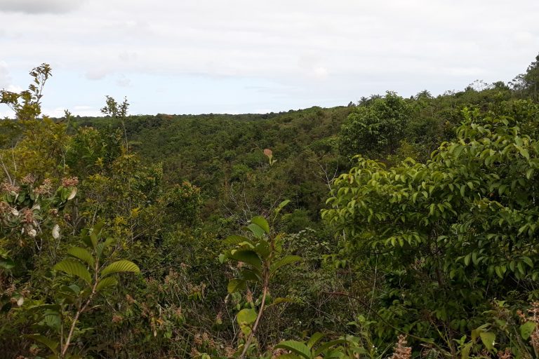 Escola de Sargentos: cinismo social e descaso ambiental no coração da mata atlântica