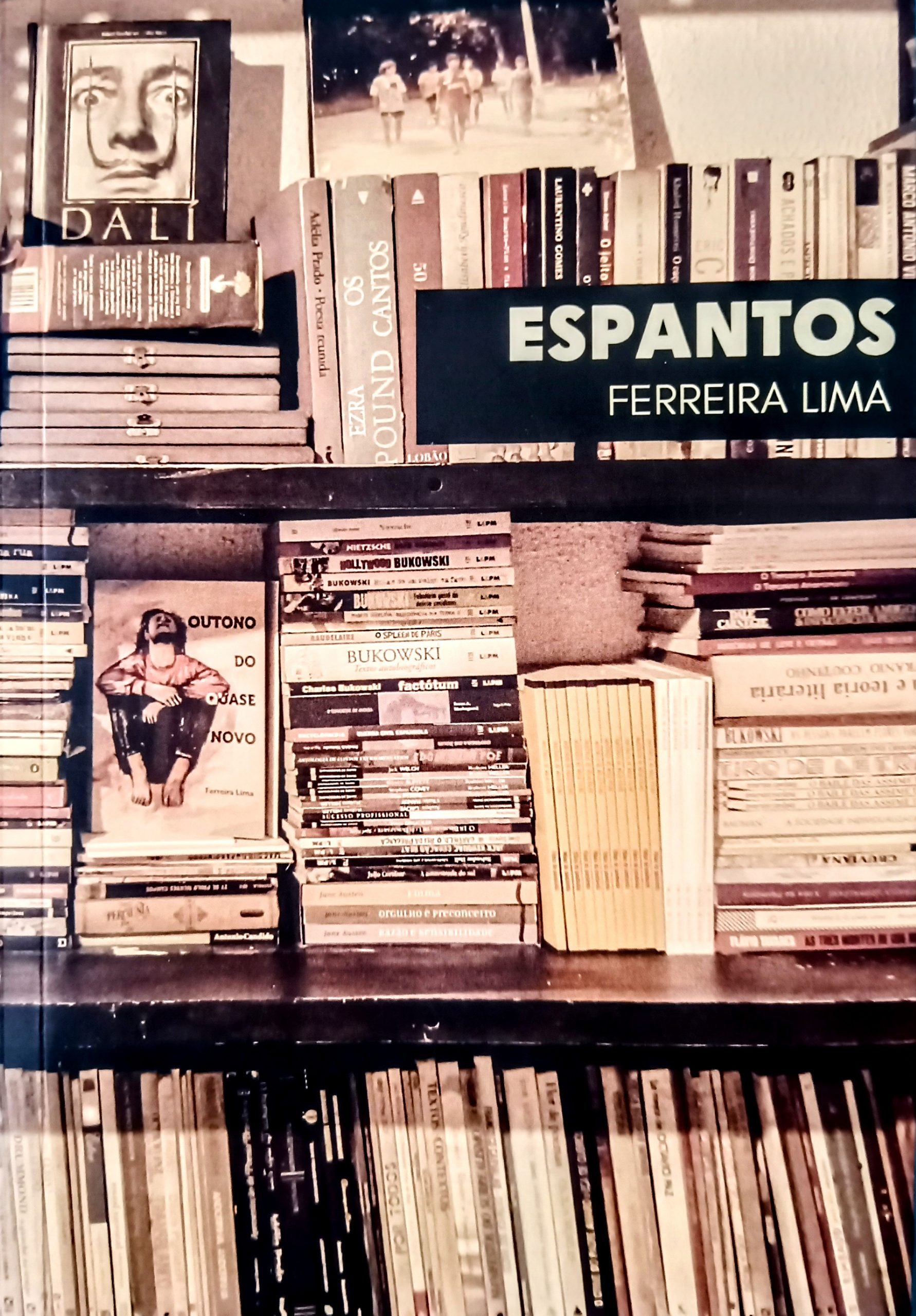 Capa do livro Espantos, onde vemos uma estante de livros.