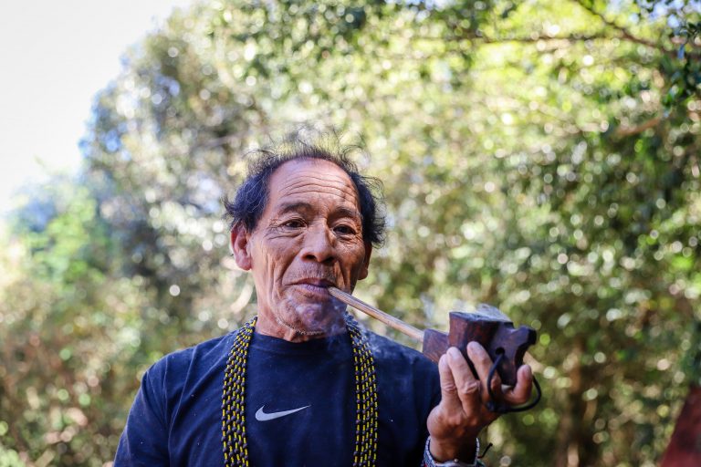 Mbyá Guarani retomam territórios para preservar cultura, floresta e futuro das novas gerações