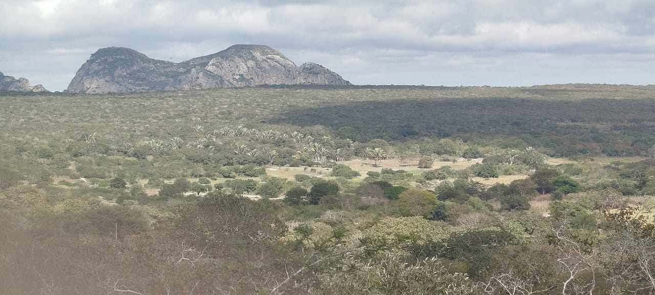 Terra Indígena (TI) Kapinawá, em Pernambuco