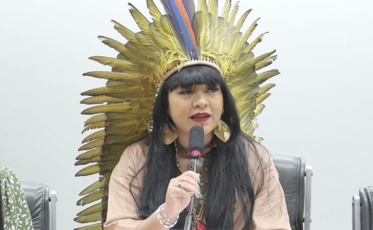Deputada Célia Xakriabá (Psol-MG)