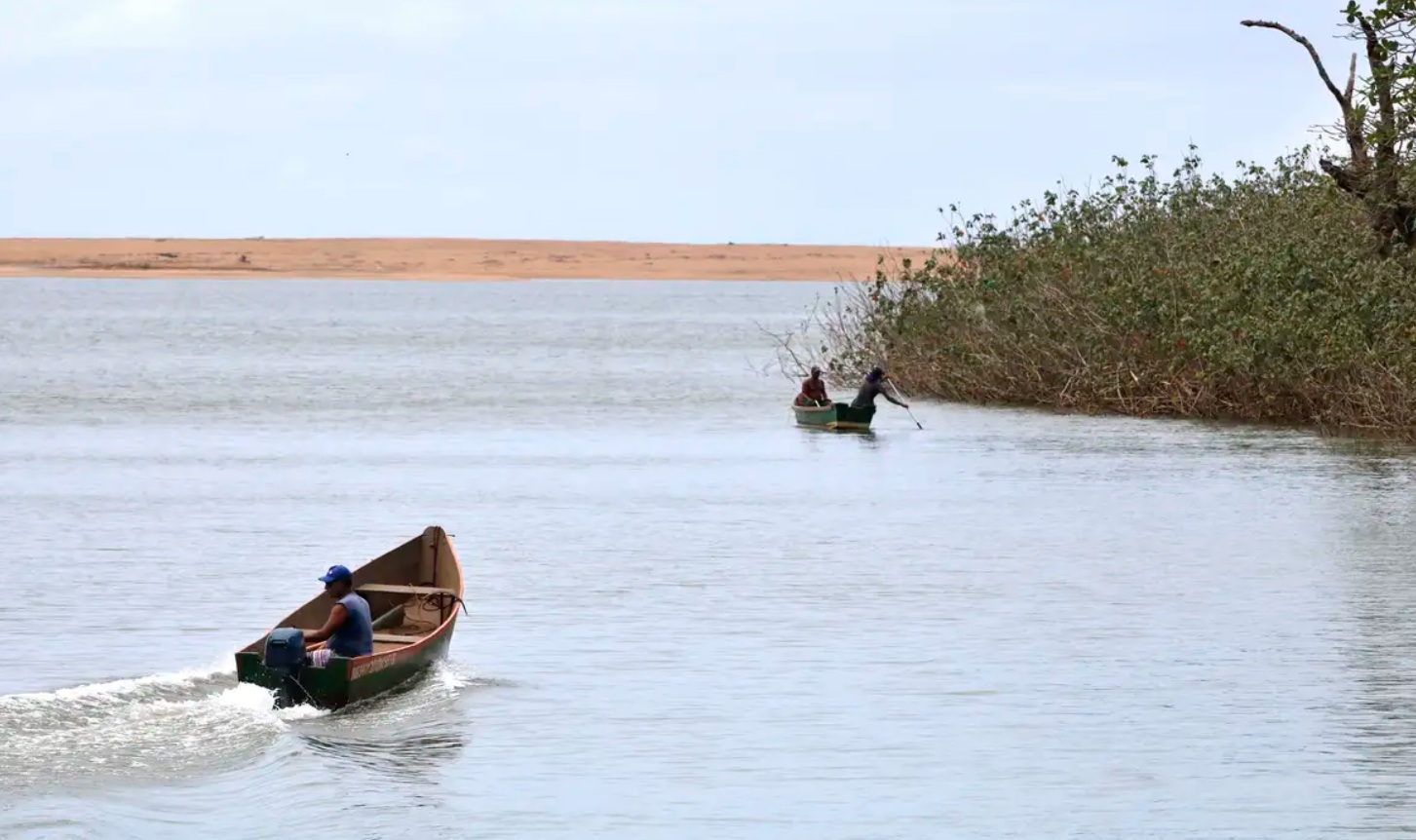 Contaminação da bacia do rio Doce matou peixes e animais