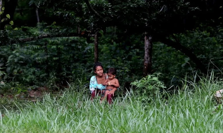 Brazilian biomes are better preserved in indigenous territories