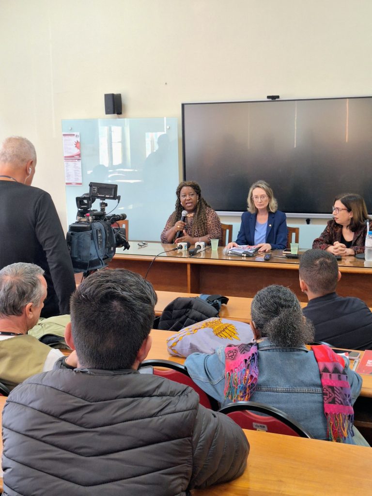 Macaé Evaristo defende debate sobre a regulamentação das plataformas digitais