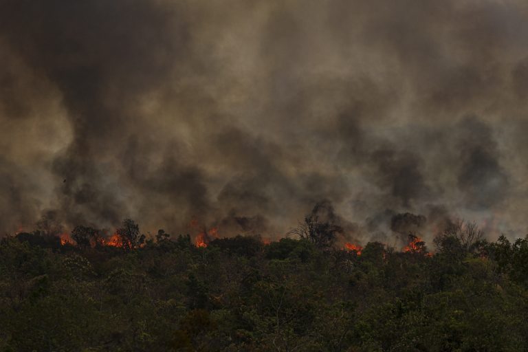 Brasil está mais preparado para fogo, mas aumento no desmatamento preocupa, diz pesquisadora