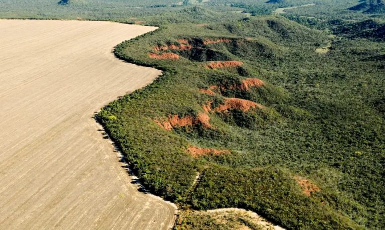 Mais de 97% do desmatamento no Brasil nos últimos anos é resultado de pressão do agronegócio