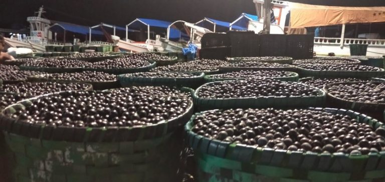 Tarifa de Trump afeta 'elo mais fraco da cadeia': quilombolas, ribeirinhos e pequeno produtor