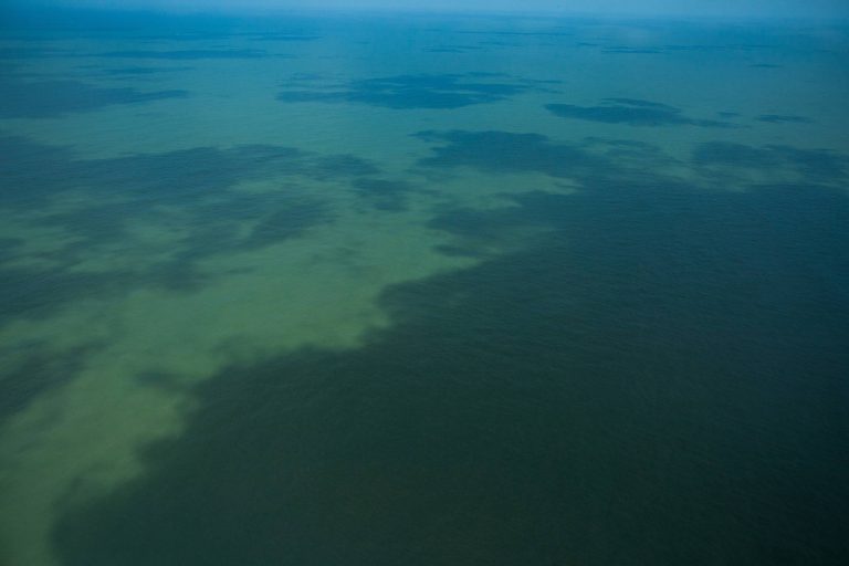 Exploração da Foz do Amazonas enfraquece Brasil como líder climático e ameaça biodiversidade