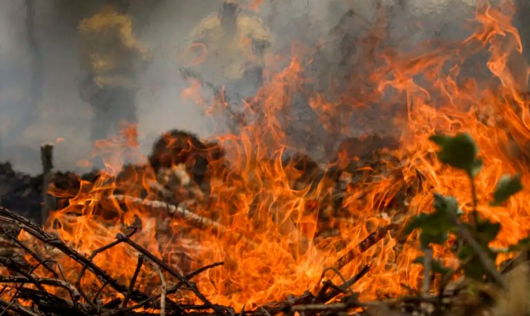 Brazil broke the record for wildfires in 2024 and tripled CO2 emissions  
