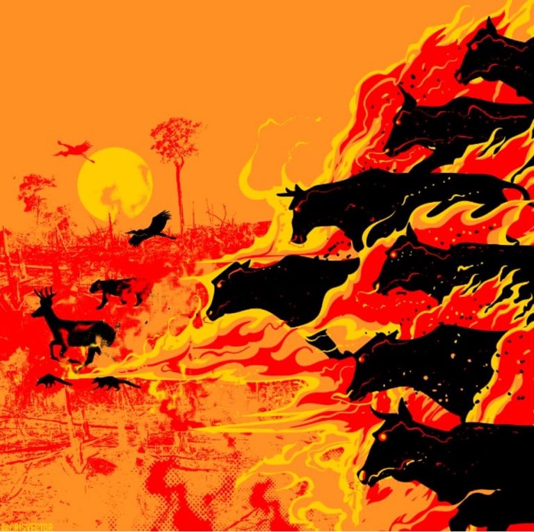 Mudanças climáticas, negacionismo, desequilíbrios de toda ordem
