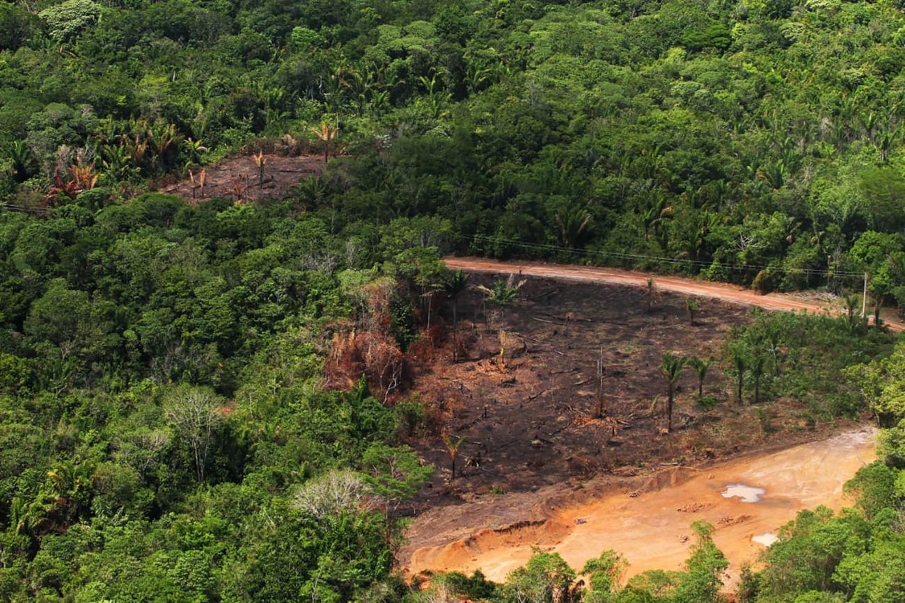 Desmatamento no estado do Pará