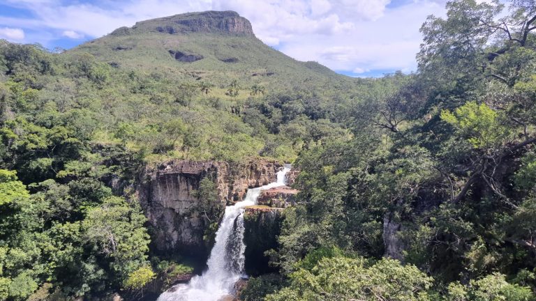 Avanço do desmatamento em Goiás ameaça território quilombola Kalunga