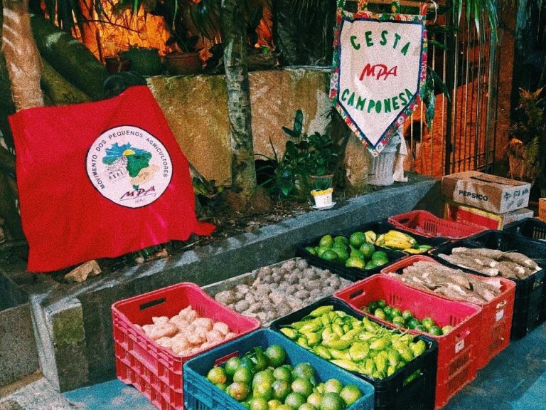 Raízes do Brasil comemora 8 anos no Rio, organizado pelo Movimento dos Pequenos Agricultores