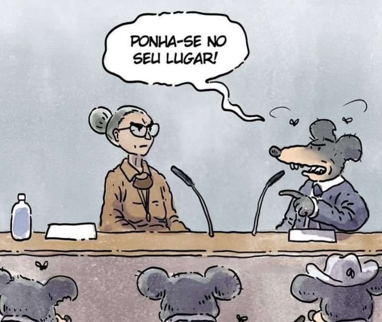 Viva Marina Silva!