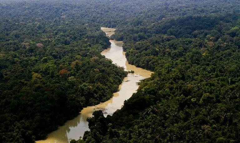  Ato contra ‘PL da Devastação’ e em defesa do meio ambiente acontece neste domingo (1),  em BH