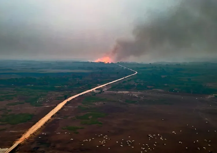 Seca histórica no Pantanal provoca incêndios devastadores em 2024