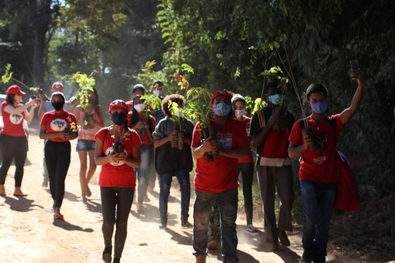 Jornada Nacional da Juventude Sem Terra realiza plantio de árvores, em MG