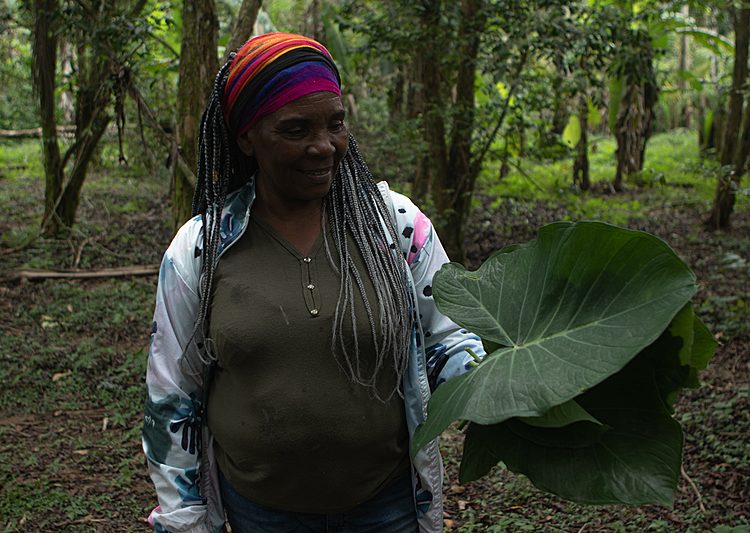 Bem Viver destaca resistência de comunidades em meio à crise climática e degradação ambiental