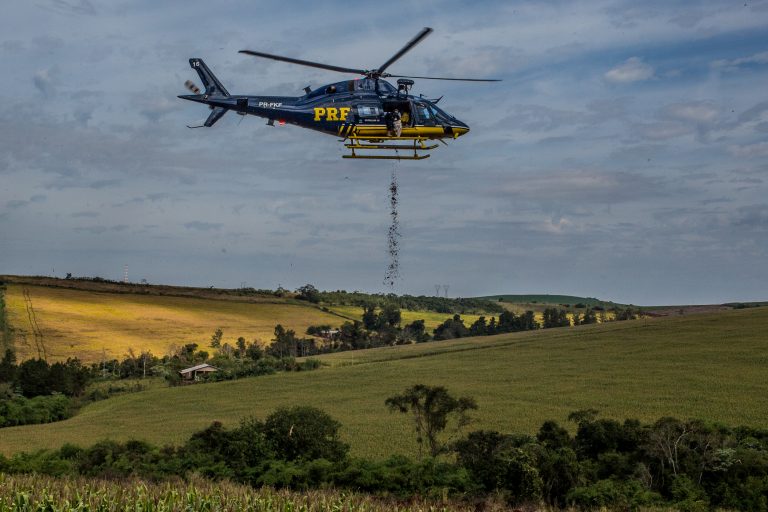 MST conclui semeadura aérea de 10 toneladas de palmeira juçara para reflorestamento no Paraná