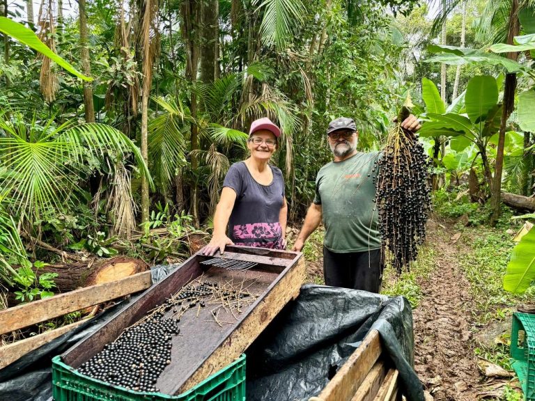 Cúpula dos Povos valoriza comida de verdade; açaí, babaçu e pirarucu são estrelas do cardápio