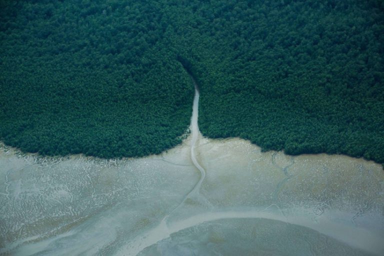 Para explorar petróleo, Helder Barbalho tenta deslegitimar ciência como Trump e Bolsonaro