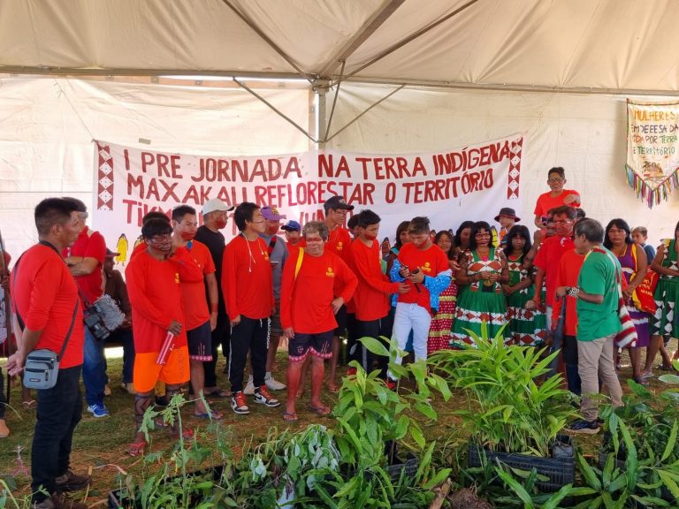 ‘Reflorestamento com memória’: evento em terra Maxakali, em MG, debate justiça climática
