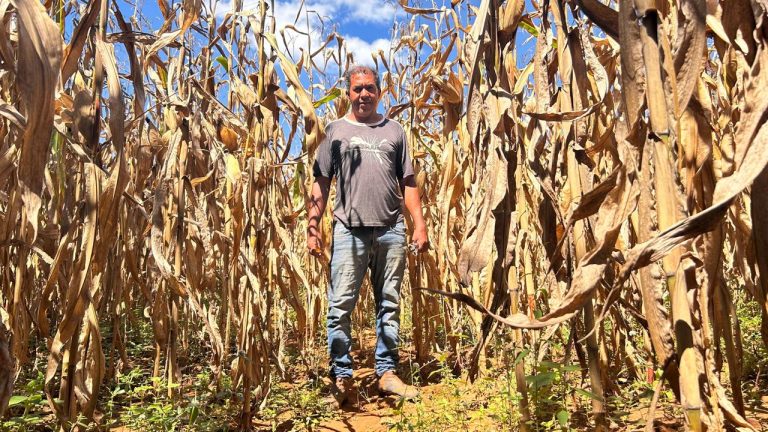Comunidade centenária vive ameaça de despejo e pode perder terra para família Caiado em Goiás