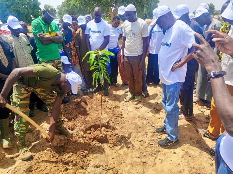 Against desertification, Burkina Faso plants 5 million trees per hour