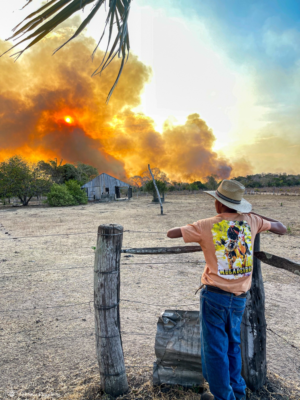 Seca no pantanal: com expansão do agro, MS e MT lideram perda de área coberta por água no Brasil