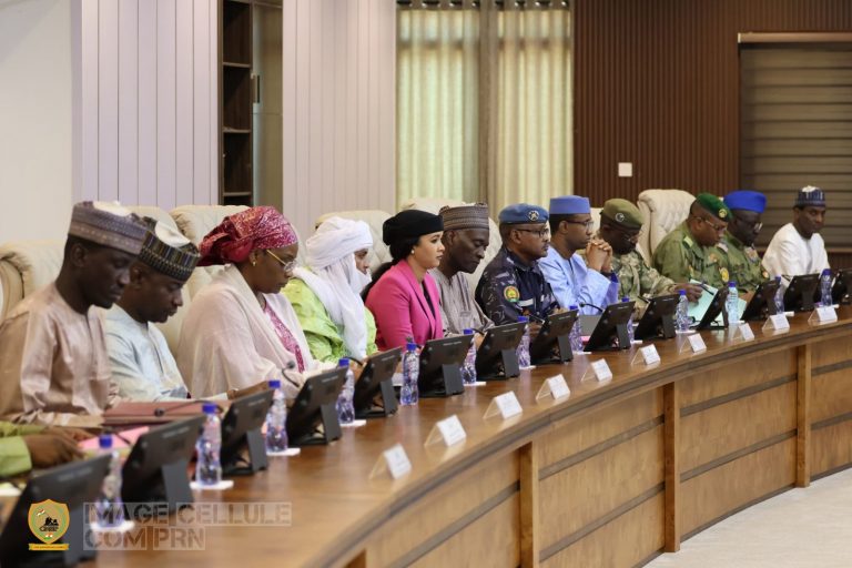 Understanding the impacts of nationalizing the electrical industry in Niger