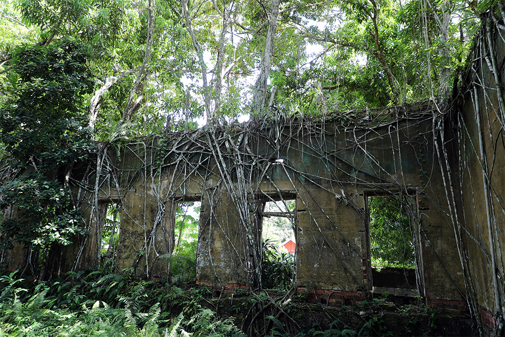 Ruínas de Paricatuba (AM)