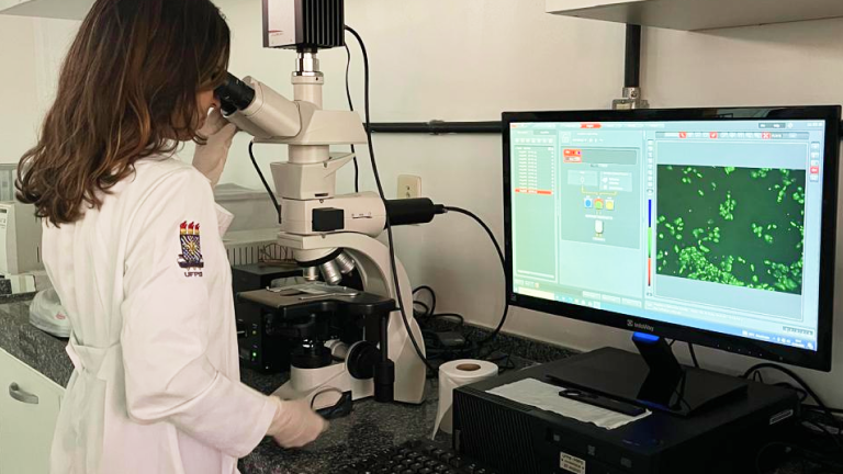Exposição a agrotóxicos pode causar danos ao DNA