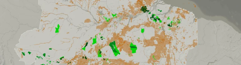 Mais da metade dos créditos de carbono da Amazônia está ‘contaminada’ pela mineração