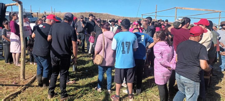 MST organiza novo acampamento em SC e pressiona por reforma agrária em meio a ofensiva conserva