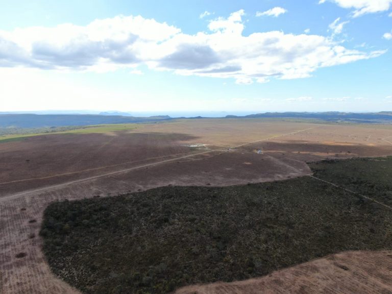 Vitória Kalunga: Justiça suspende atividades do agro em território quilombola