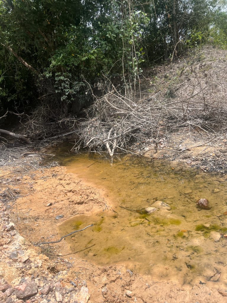 O colapso silencioso do Cerrado: os rios secam e as consequências transbordam