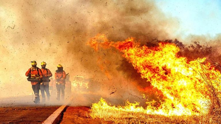 Incêndios florestais destroem mais de 620 mil m² durante seca no Distrito Federal