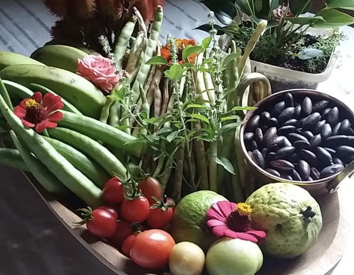 alimentos