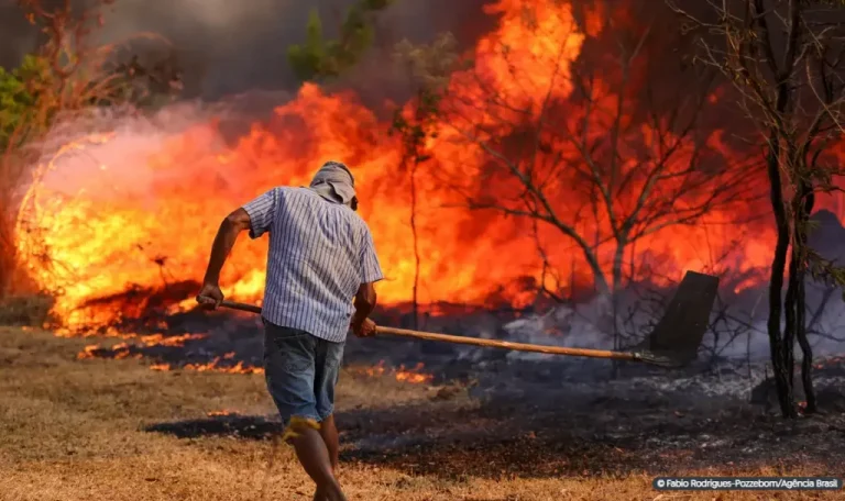 Redução das queimadas em julho reflete clima mais favorável e ação humana, avalia pesquisadora