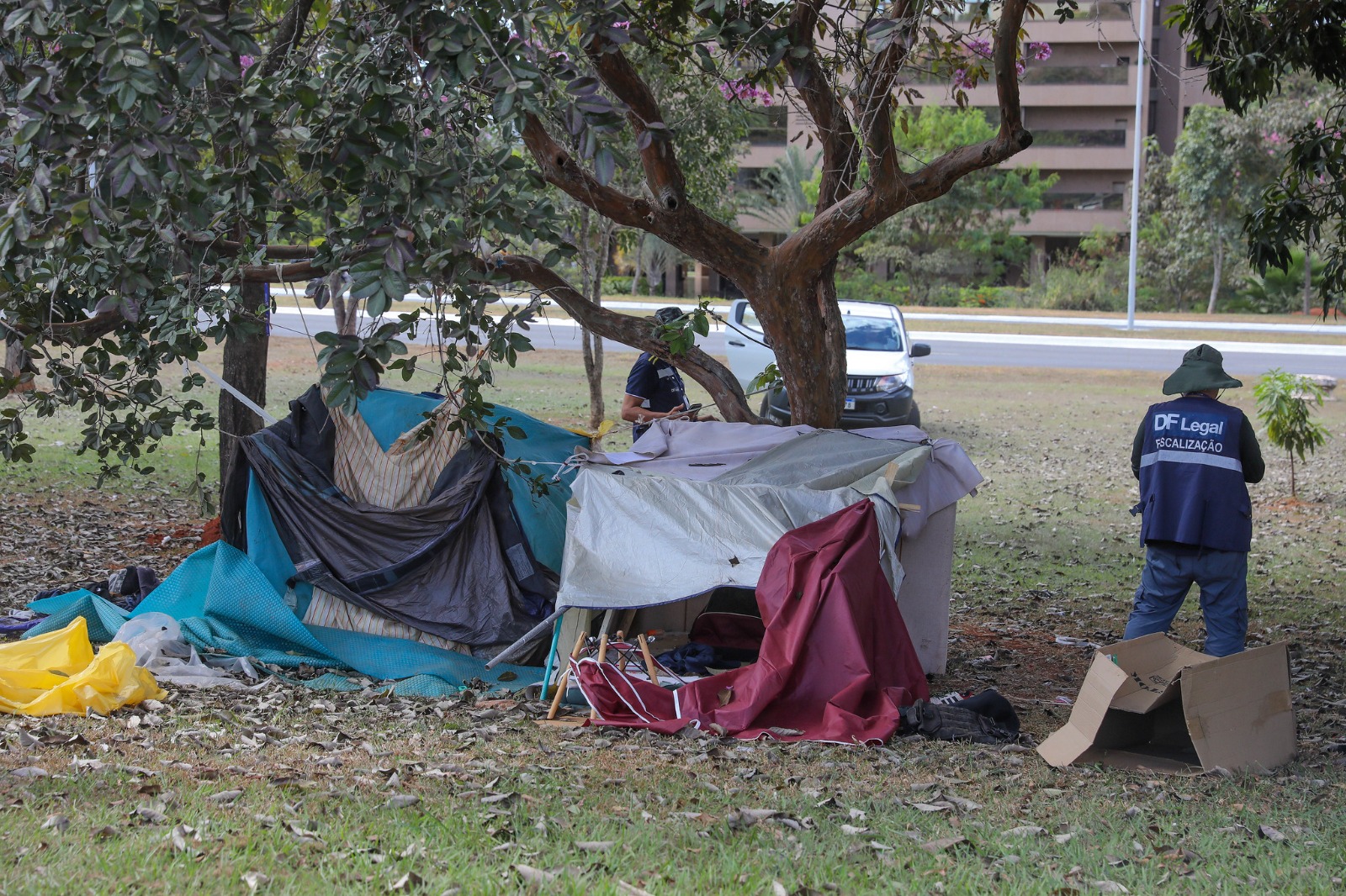 O Distrito Federal está entre os estados com maior população em situação de rua, atrás apenas das grandes unidades da Federação.