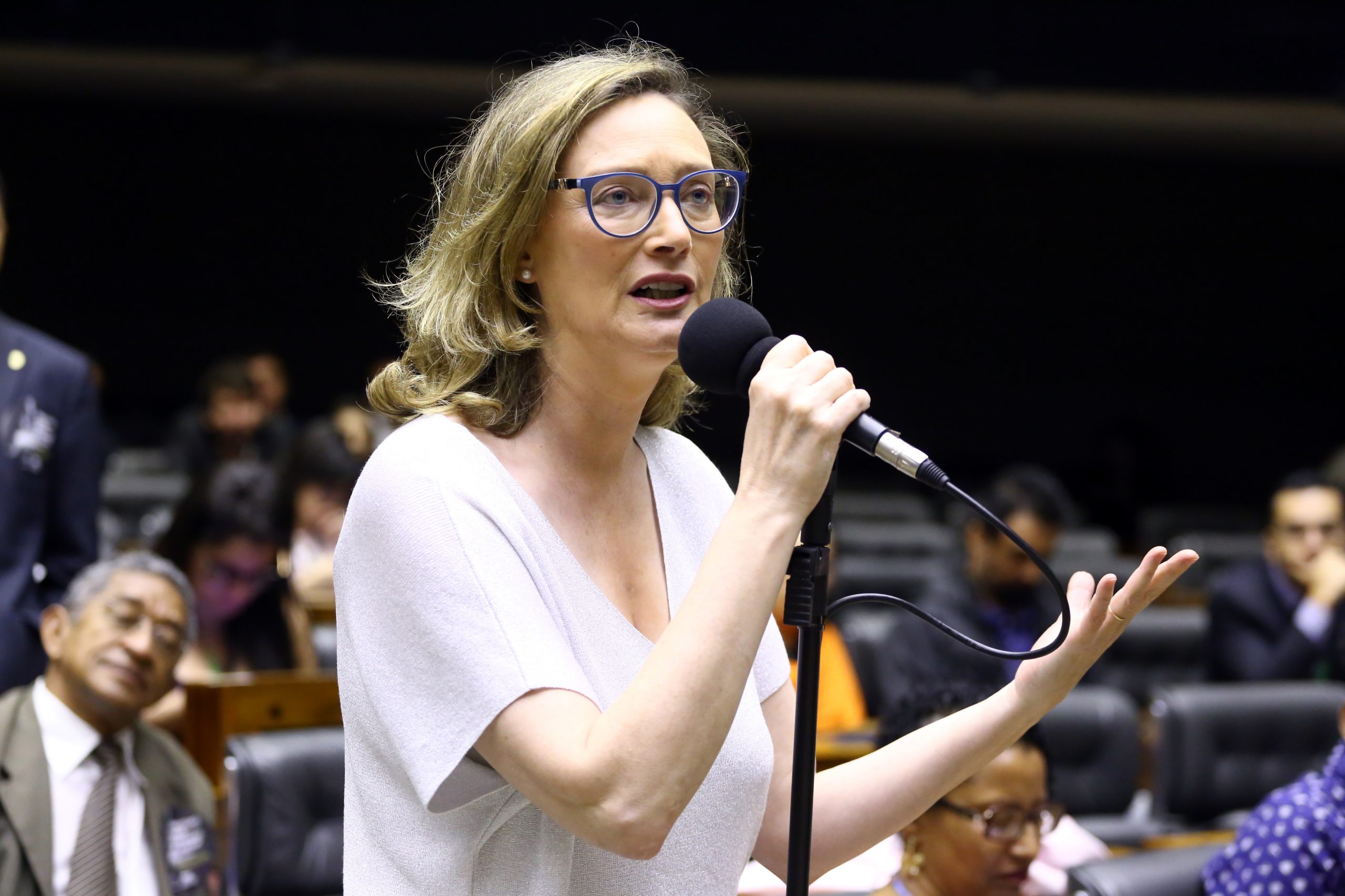 Deputada federal Maria do Rosário (PT-RS)