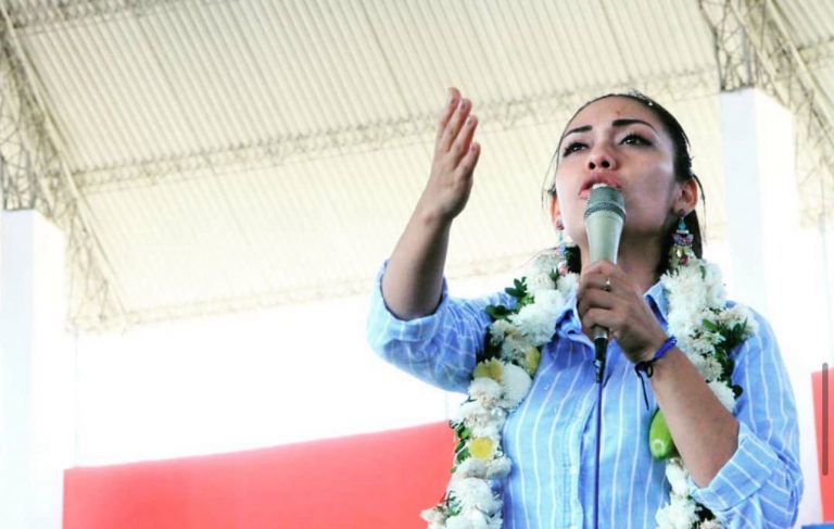 'Há sério risco de o MAS desaparecer da política', diz ex-presidenta do Senado da Bolívia