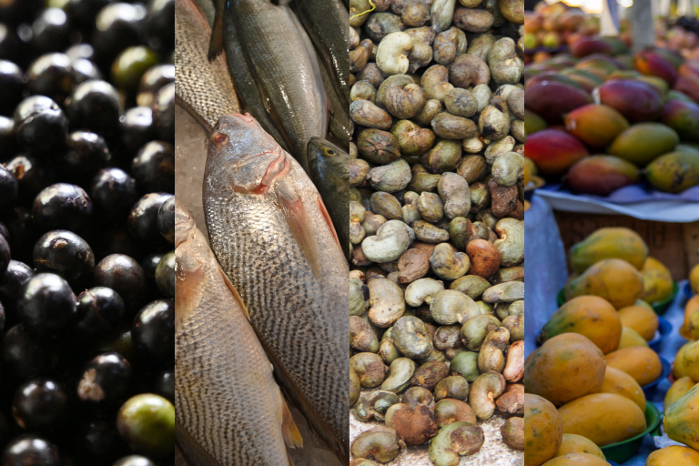 Government launches food purchase plan to offset U.S. tariff impact on family farming