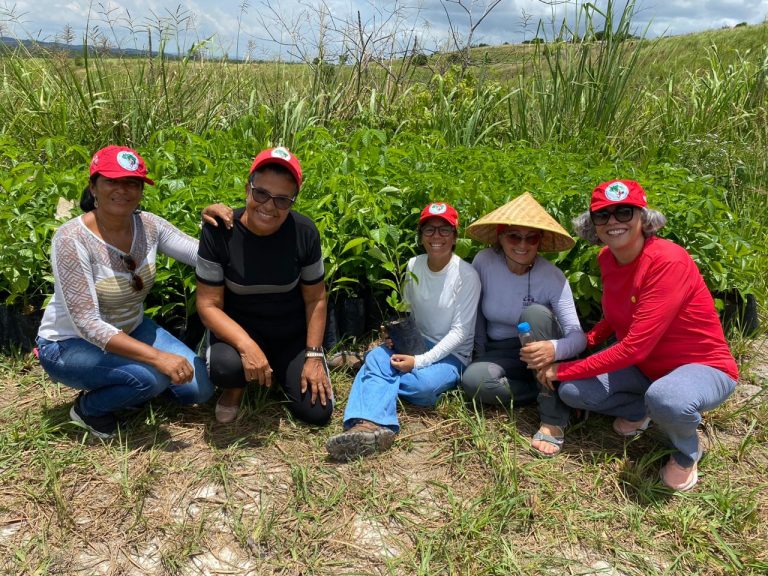 MST abre assentamento no Grande Recife para a população conhecer e plantar itens a serem doados