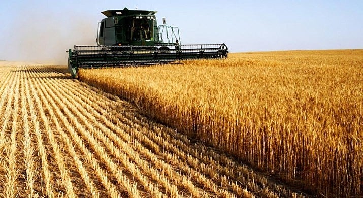 O que falta para o Pronara, o Programa de Redução de Agrotóxicos, entrar em ação?
